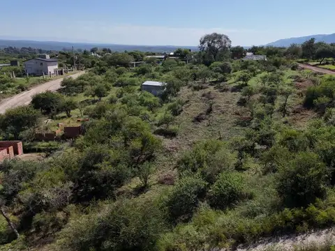 roberto fontanarrosa 100