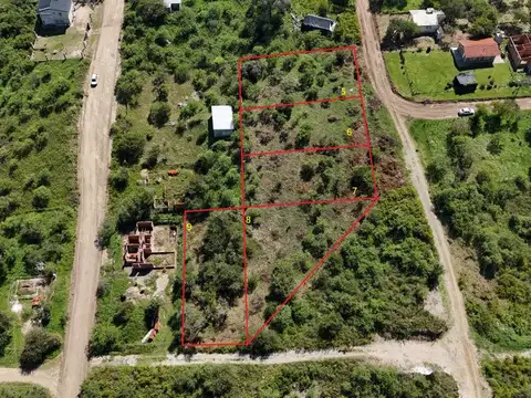 roberto fontanarrosa 100