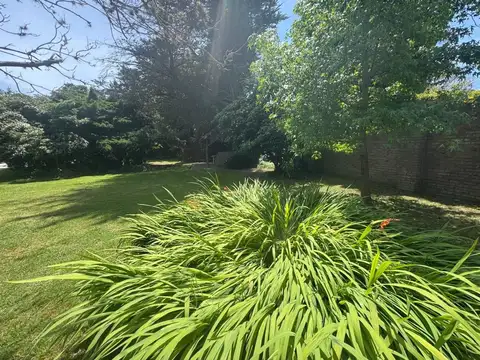 LOTE RANELAGH/BERAZATEGUI