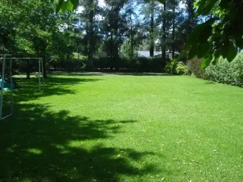 461 entre Cno Belgrano y 21D