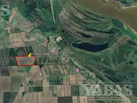 VENTA - CAMPO - SAN PEDRO - 31 HECTAREAS AGRICOLAS