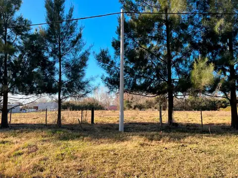 Terreno en Venta 81  mts Fondo
