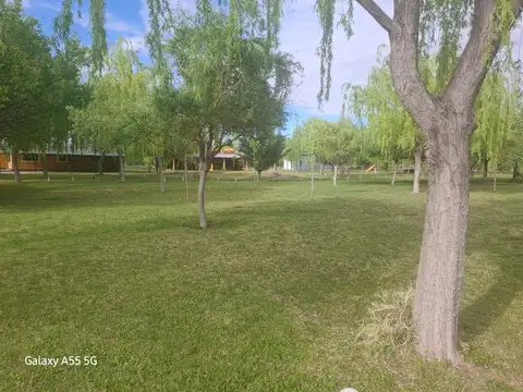 Calle Gutierrez 7100