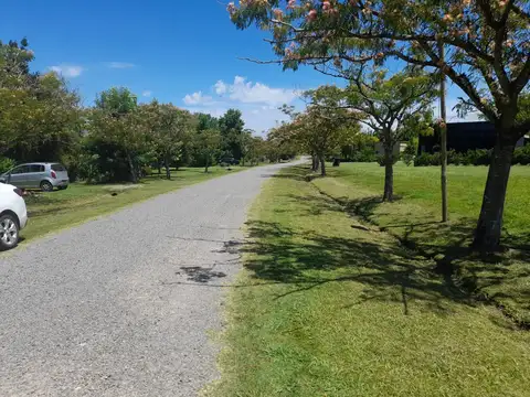 Club de Campo Altos Manzanares, PILAR