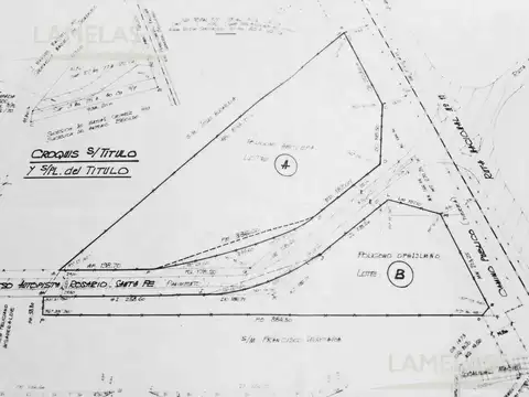 Terreno acceso a Maciel - Santa Fe -  9,5 has