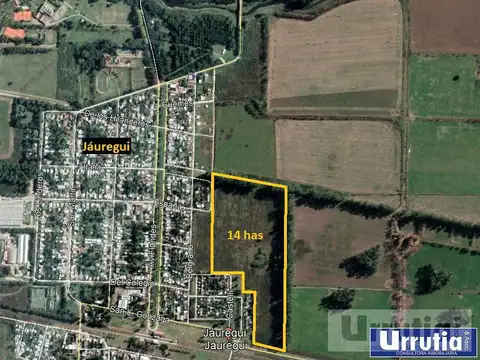 Campo - Jauregui Jose Maria