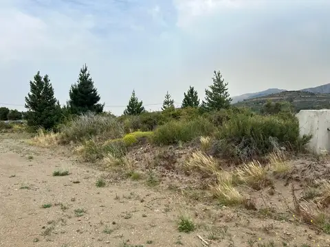 Terreno sobre calle Esandi-Varios Usos-Polo Industrial