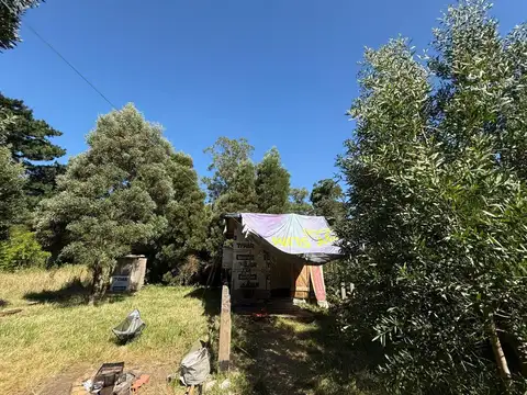 Venta Lote aprox800m2Barrio Parque Peña,Cedro Azul