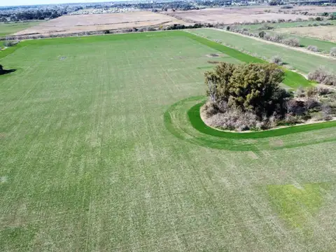 Campo 100% Agricola - Lujan