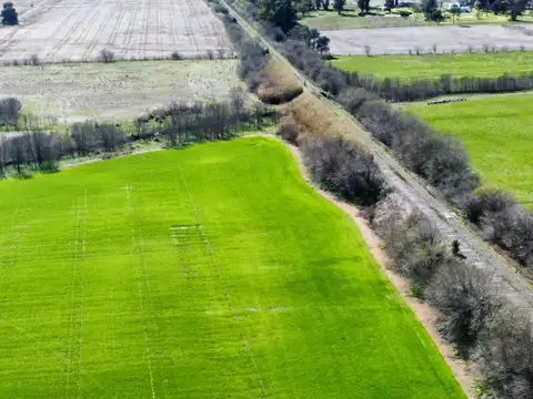 Campo 100% Agricola - Lujan