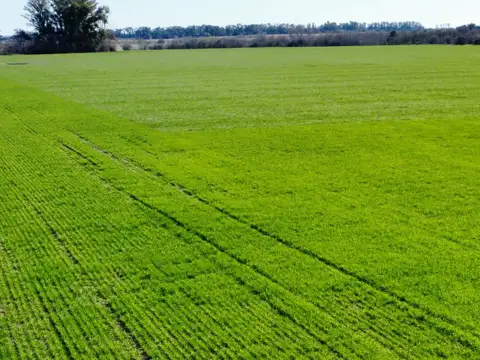 Campo 100% Agricola - Lujan