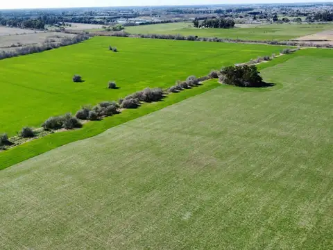 Campo 100% Agricola - Lujan