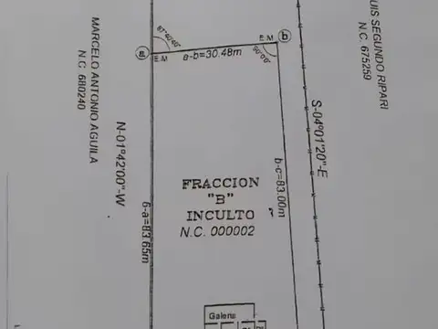 Julio Argentino Roca 300