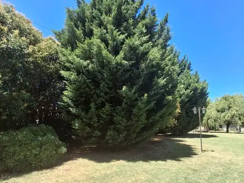 Terreno en Venta en Azul, USD 65.000