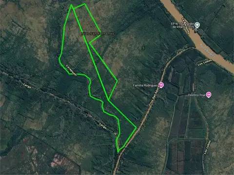 110 ha. de Campo en Ar. Largo y Cruz del Sauce. OPORTUNIDAD