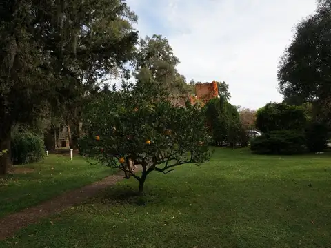 Avenida Ingeniero Eduardo Madero 1700