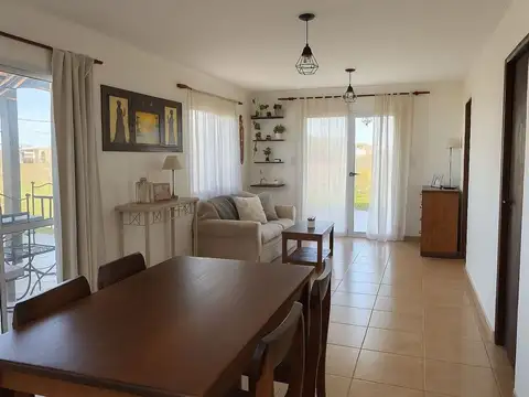 Tulipanes y Girasoles 100