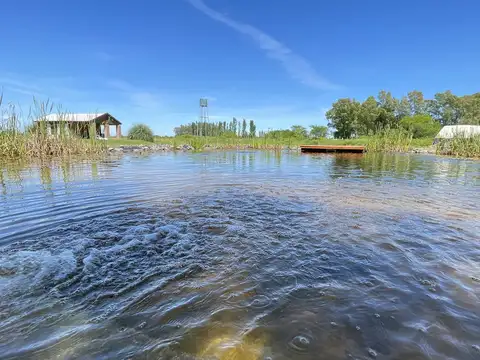 Quinta en Venta de 4 dormitorios
