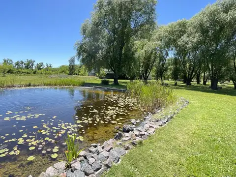 Quinta en Venta 6 Ambientes en Barrio La Esperanza, Lujan