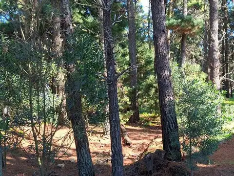 Terreno en Venta de 450,0 m2