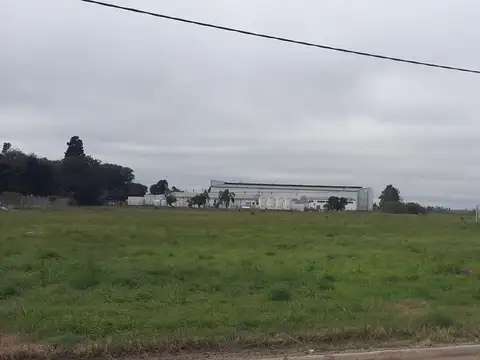 Bellta Italia Productiva