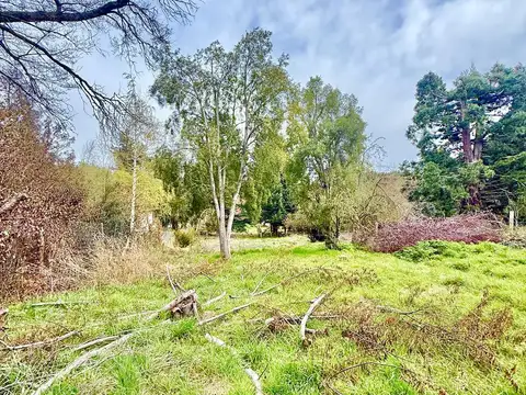 Terreno en Venta de 953,0 m2