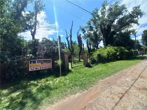 Alberto Grande  al 1200