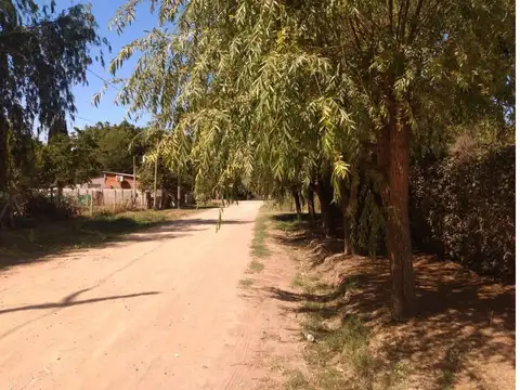 Olegario Andrade N° 1946.-