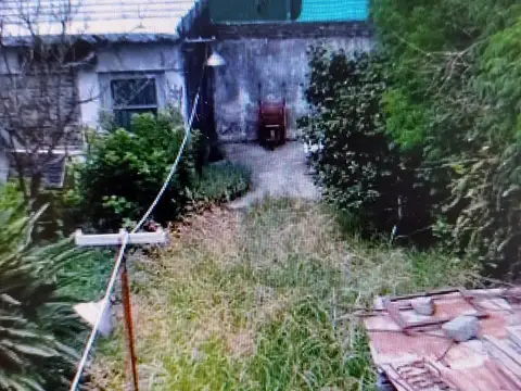 FERNANDEZ  D´OLIVEIRA 3300