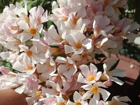 Casa en Venta en Santo Tome, USD 90.000