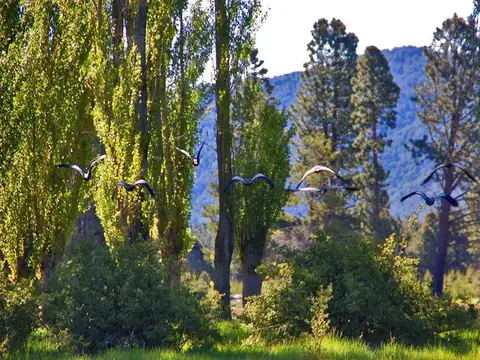 INVERSIÓN BARILOCHE.  LOTE EN CLUB DE CAMPO.