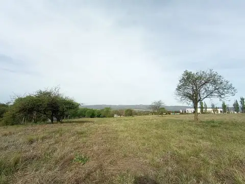 RUta s271 y calle Belgrano 100