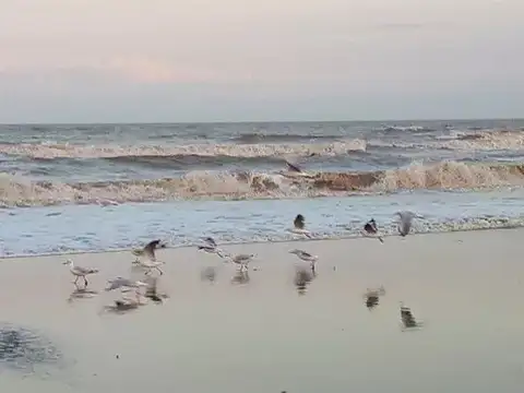 Terreno en Venta de 565,0 m2