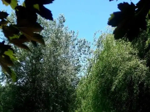 VENTA DE LOTE EN BARRIO PRIVADO LOMAS DE SAN FRANCISCO 