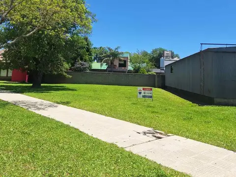 Isidoro Reinares 300