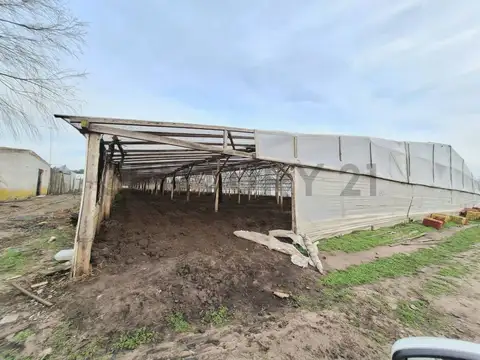 Venta de Campo, Mar del Plata            
            
        Century 21 Recanatti tie...