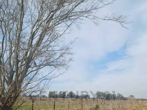 Ruta Nacional 6 , Piso 0