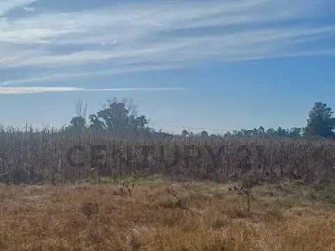 Chacra en venta en Partido de Lujan sobre Ruta 6.