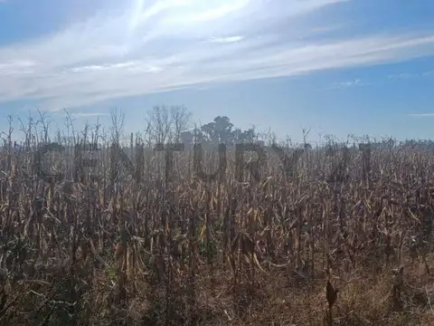 Ruta Nacional 6 , Piso 0