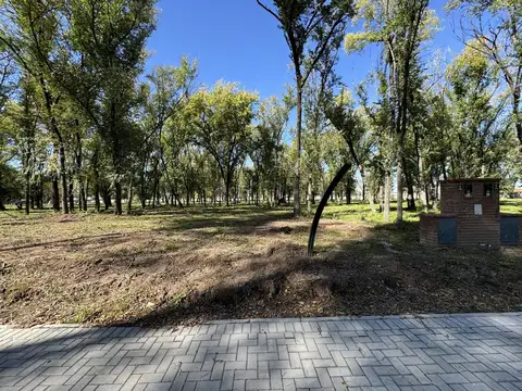 Almahue Pilar - Reventa LOTE