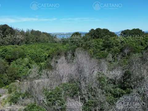 Terreno en Venta de 2000,0 m2