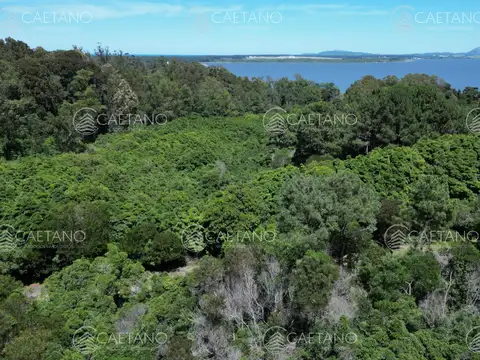 Venta terreno en las cumbres