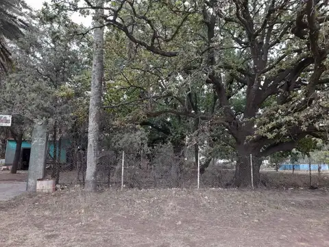 Terreno en Venta de 3987,0 m2