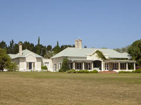 CAMINO AL GOLF : Alfredo Gobbi