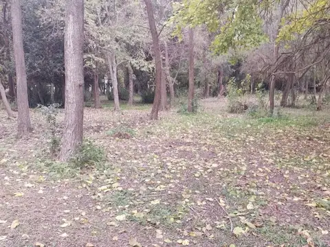 Terreno en Venta en Estancia Villa Maria, USD 32.000