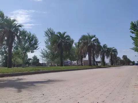 Camino de la Legua 220