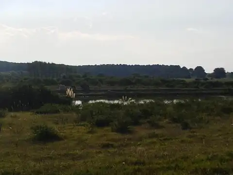 Terreno Lote  en Venta ubicado en El Golf, Carmelo, Colonia