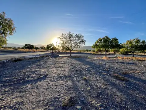 Terreno en Venta 25  mts Fondo