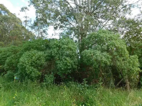 Terreno en Venta en Chascomus, USD 22.000