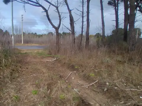 Venta en block  de 2 fcciones, acceso a Mar Azul x Ruta 11